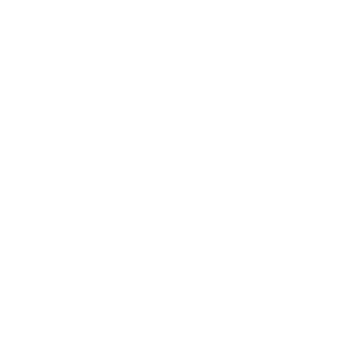 light logo